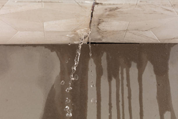 Professional Burst Pipe Cleanup technician working in Sun City Center, FL